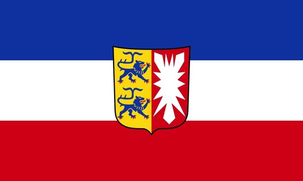 Netflags Regionalflagge Schleswig Holstein mit Wappen (110g)