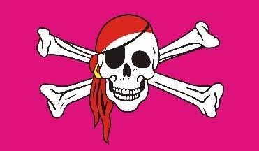 Netflags Dekoflagge Pirat "Pink"