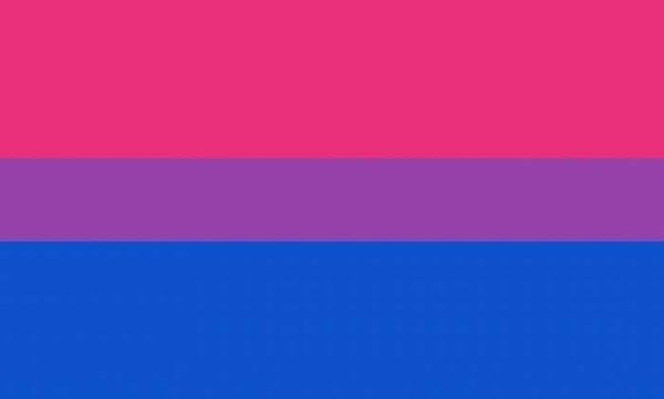 Netflags Dekoflagge Regenbogen "BI Pride"